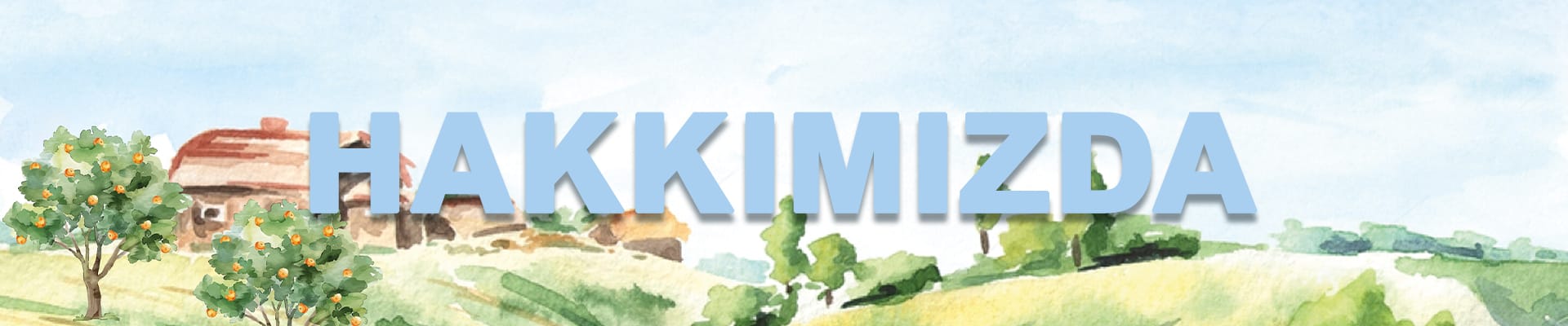 HAKKIMIZDA